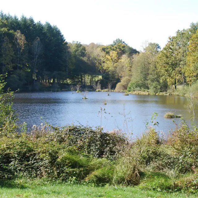 Séjour pêche à la carpe en Limousin à l'étang de pêche privé avec hébergement Bel'Ecaille