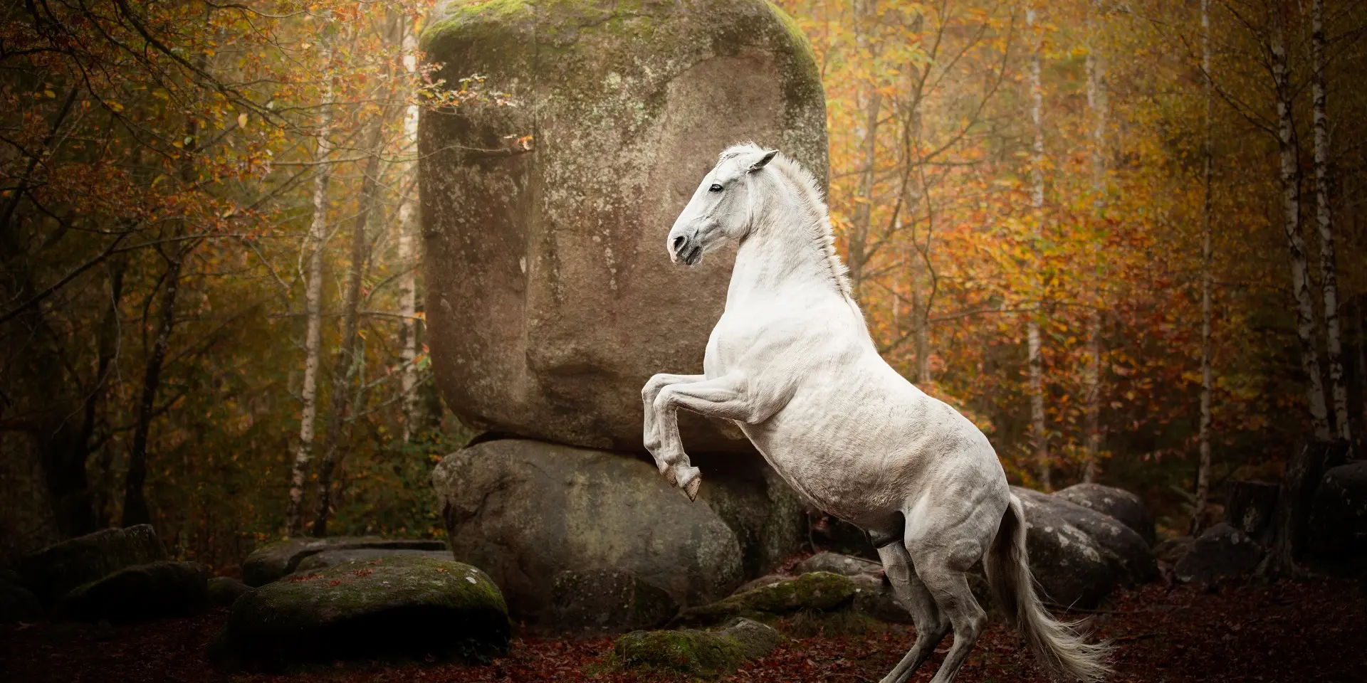 Cheval Et Pierre De Legende A Cieux