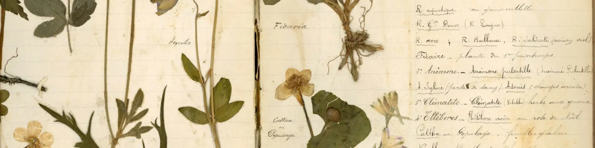 Page de couverture d'un herbier retrouvé dans les ruines du village martyr d'Oradour-sur-Glane
