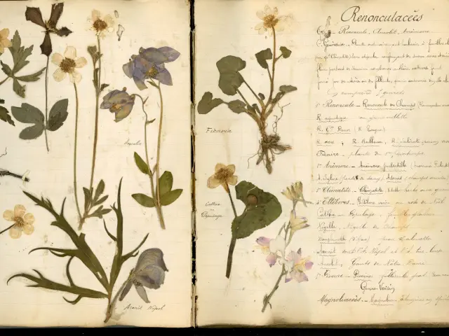 Page de couverture d'un herbier retrouvé dans les ruines du village martyr d'Oradour-sur-Glane