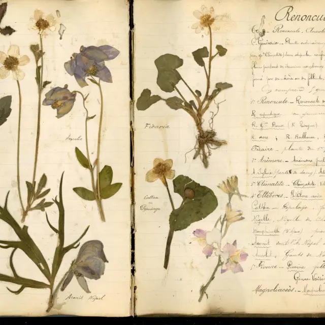 Page de couverture d'un herbier retrouvé dans les ruines du village martyr d'Oradour-sur-Glane