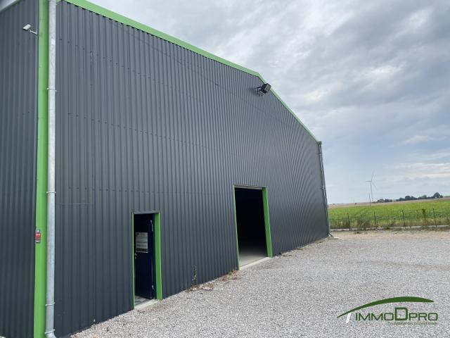 Immobilier Pro Local Industriel 550 M2 Luneray 76810 1664972751 Lp354 3 Original