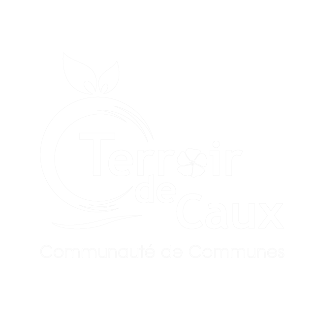 Logo Tdc Blanc