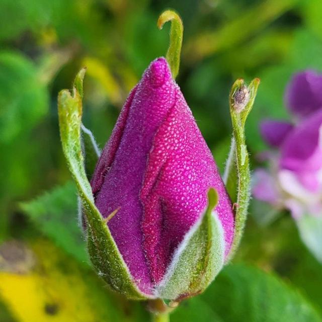 Instagram #terroirdecaux