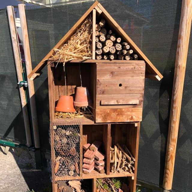 Hotel Insecte