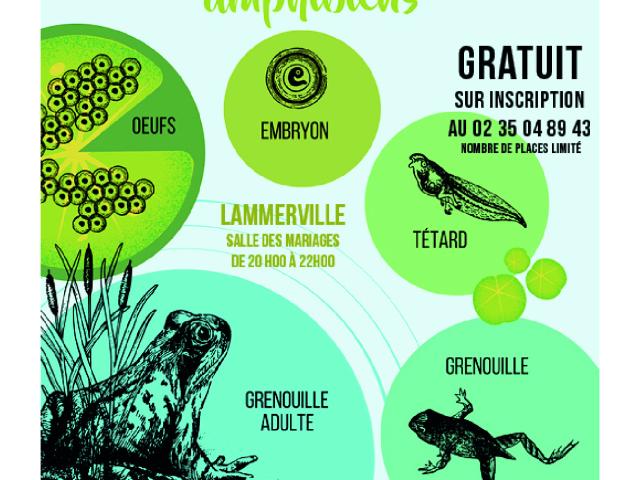 Affiche Amphibiens