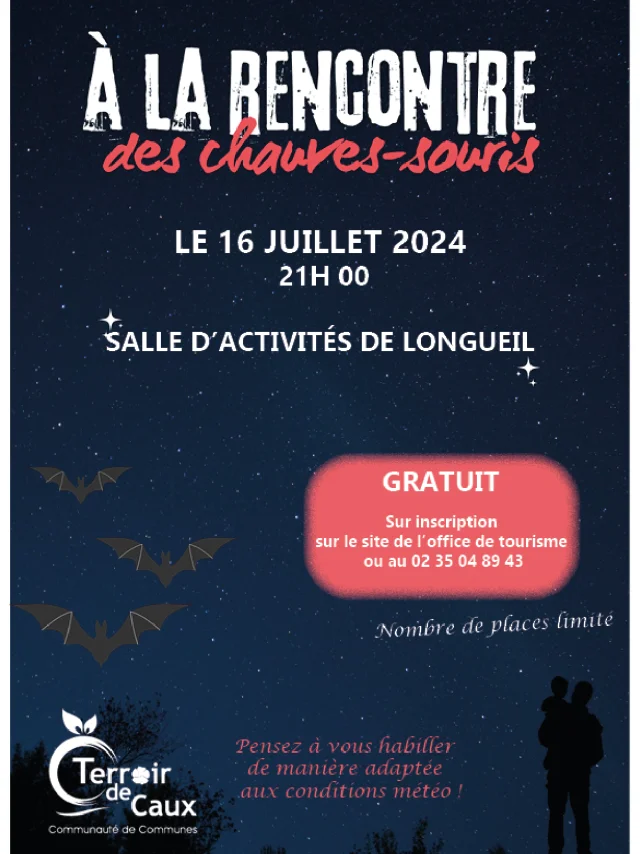 Chauves Souris