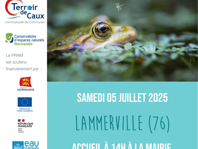Affiche V2 Lammerville