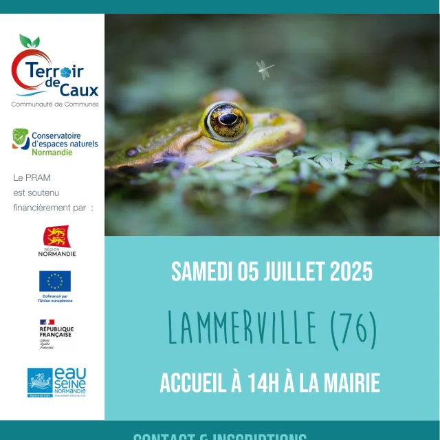 Affiche V2 Lammerville