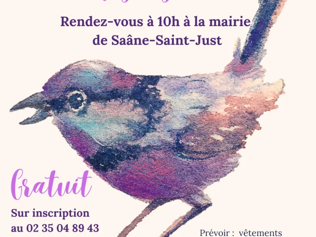 A La Decouverte Des Oiseaux