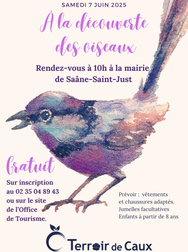 A La Decouverte Des Oiseaux