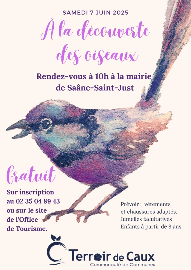A La Decouverte Des Oiseaux