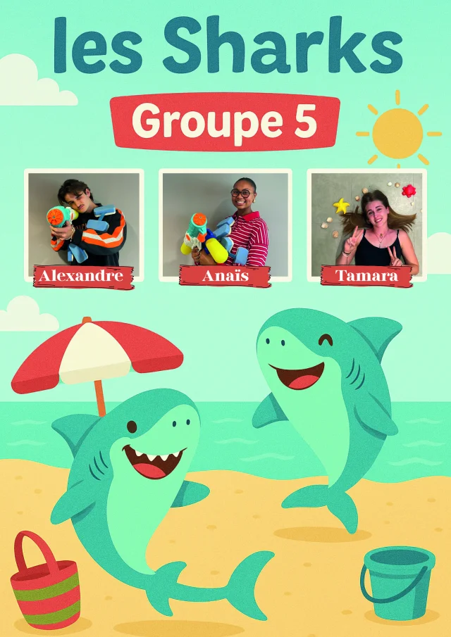 Groupe 5