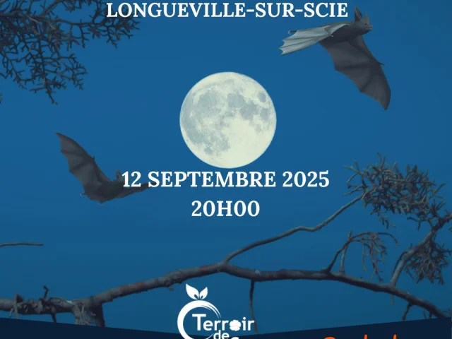 9 Decembre 2025 Instagram