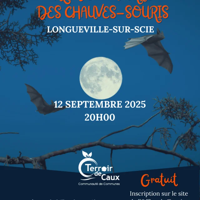 9 Decembre 2025 Instagram