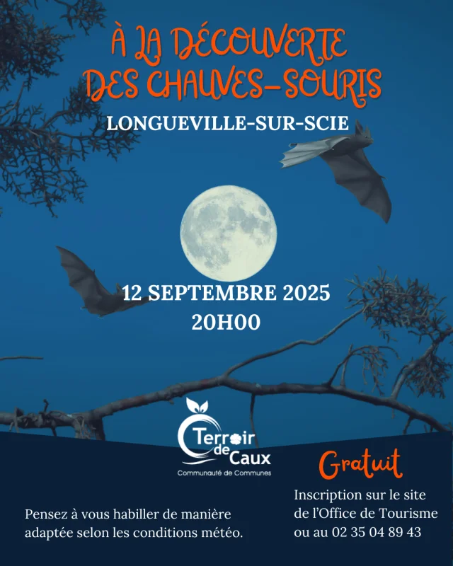 9 Decembre 2025 Instagram