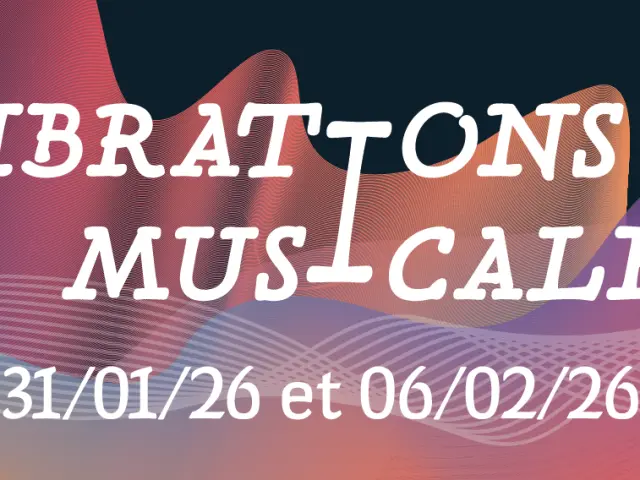 Banniere Newsletter@2x