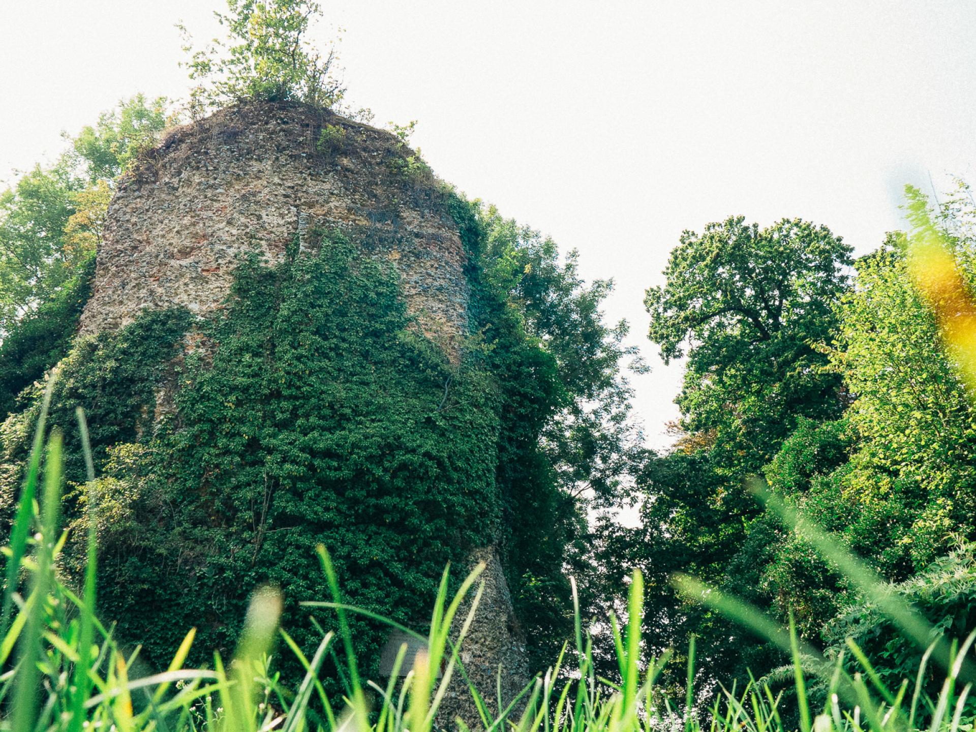 LonguevillesurScie Office de Tourisme Terroir de Caux Normandie à