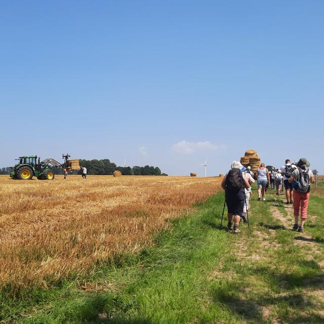 Hikers Chemin Des Frênettes