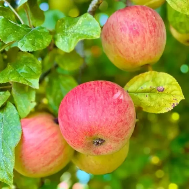 Instagram #quibervilletourisme