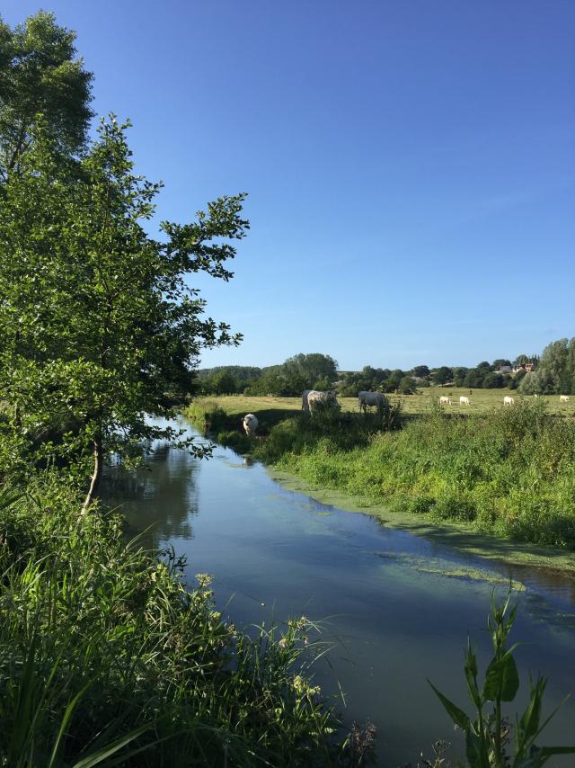 Vallée de la Saâne