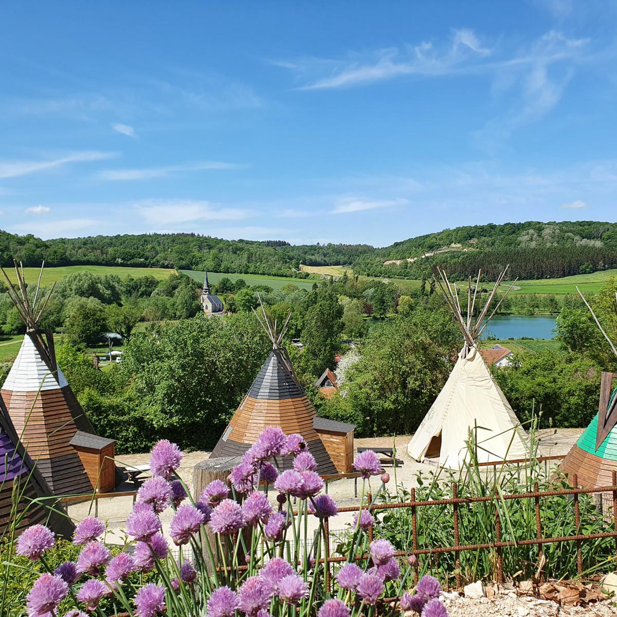 parc des bisons en lozere
