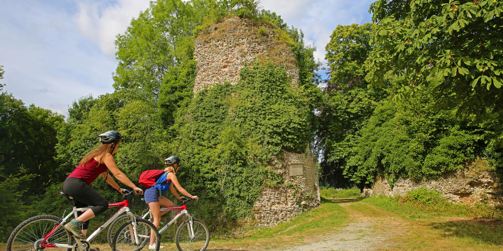 The ruins of the castle Gauthier Giffard