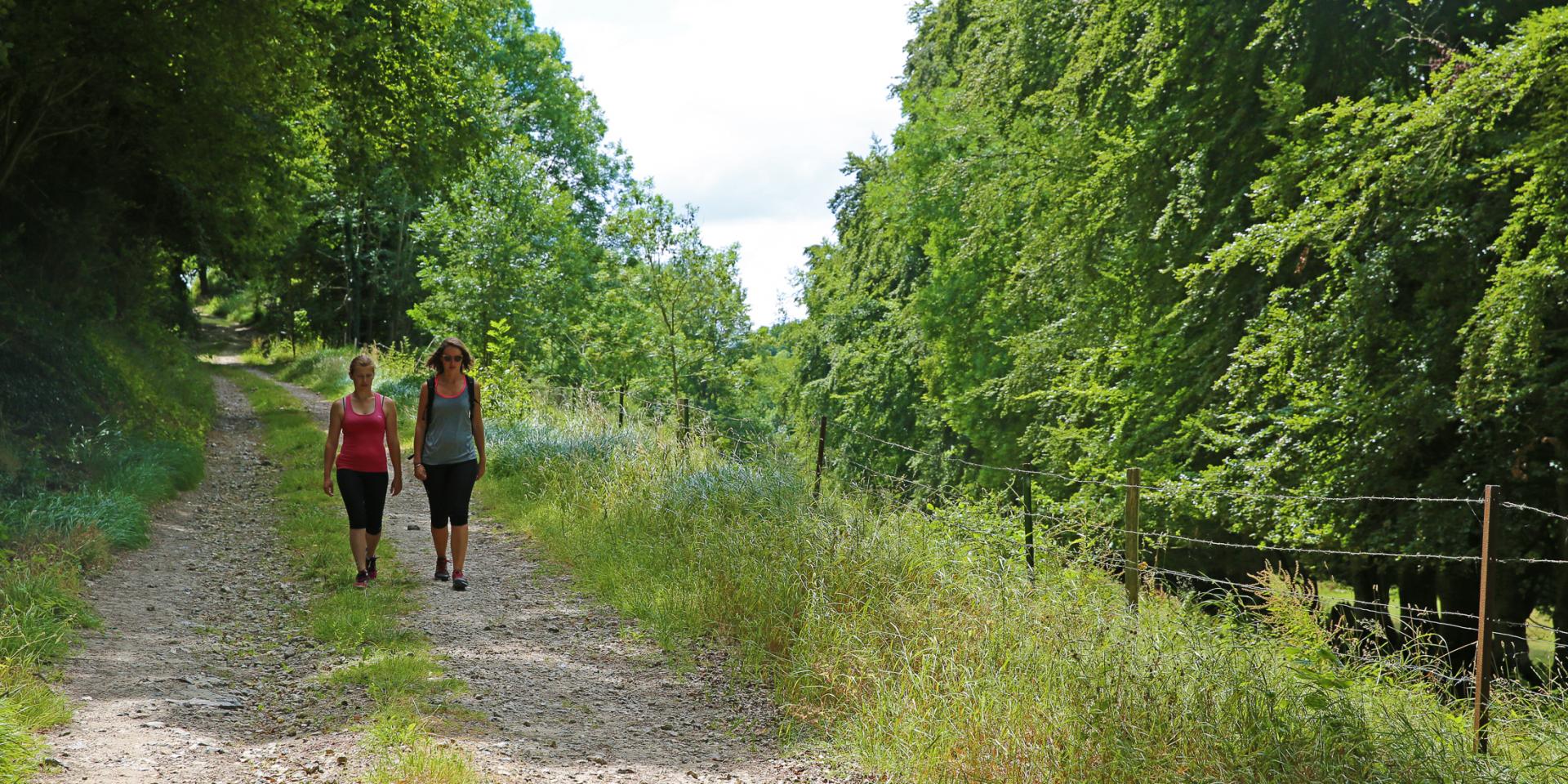 Hiking in the countryside