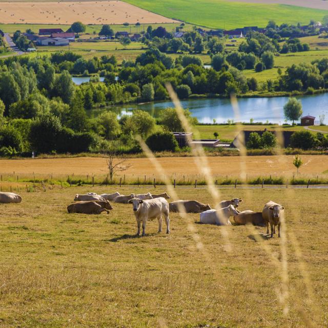 panorama sur la Varenne