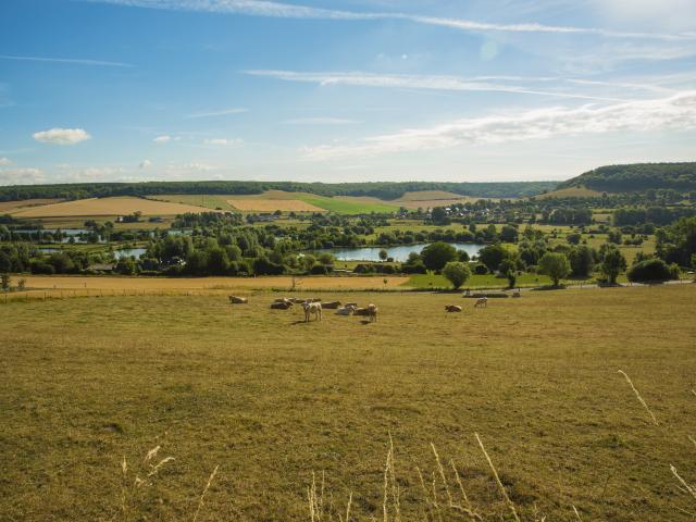 panorama sur la Varenne