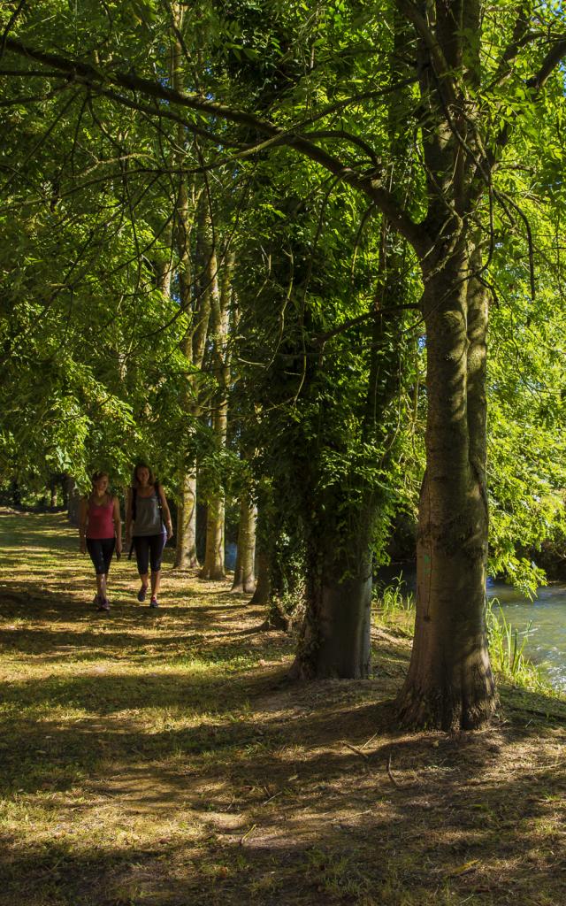 chemin ombragé en bord de Varenne