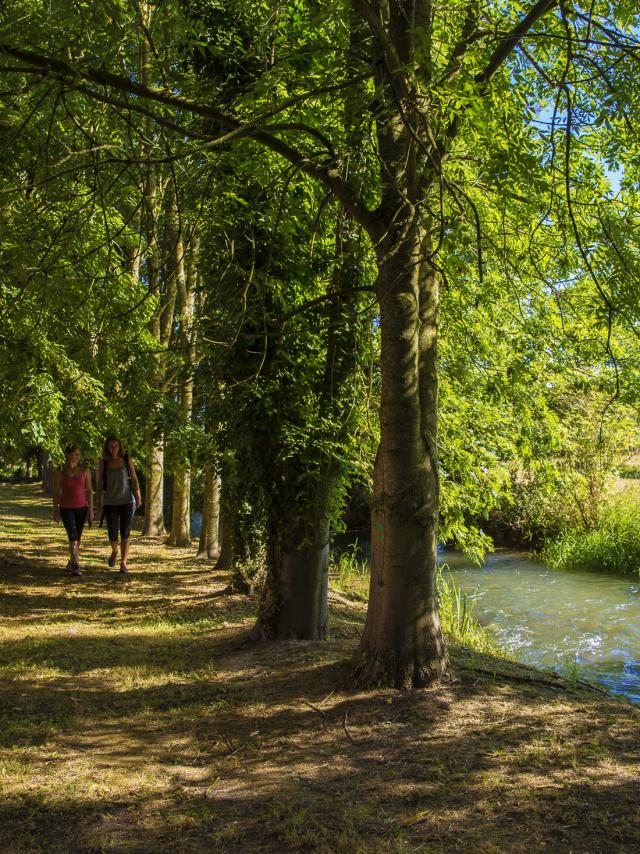 chemin ombragé en bord de Varenne