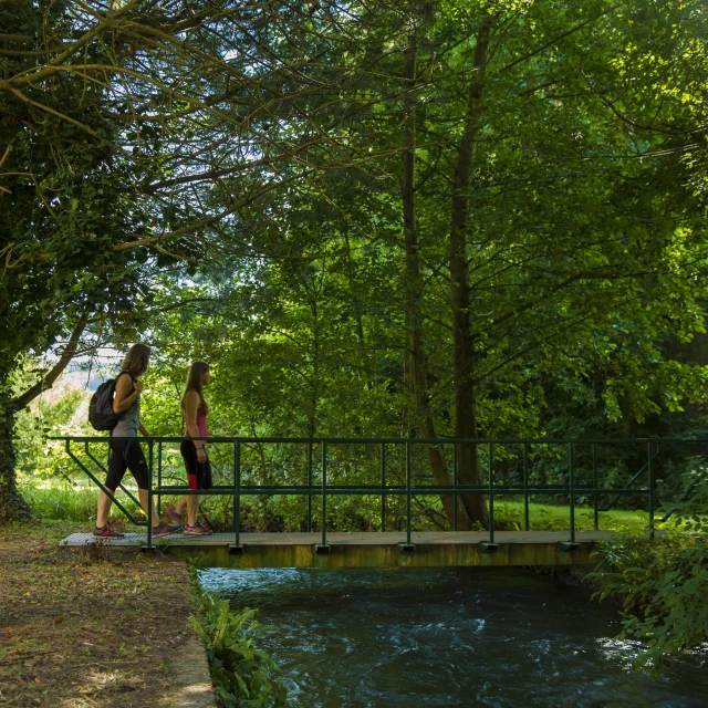 chemin ombragé en bord de Varenne