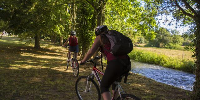 chemin ombragé en bord de Varenne