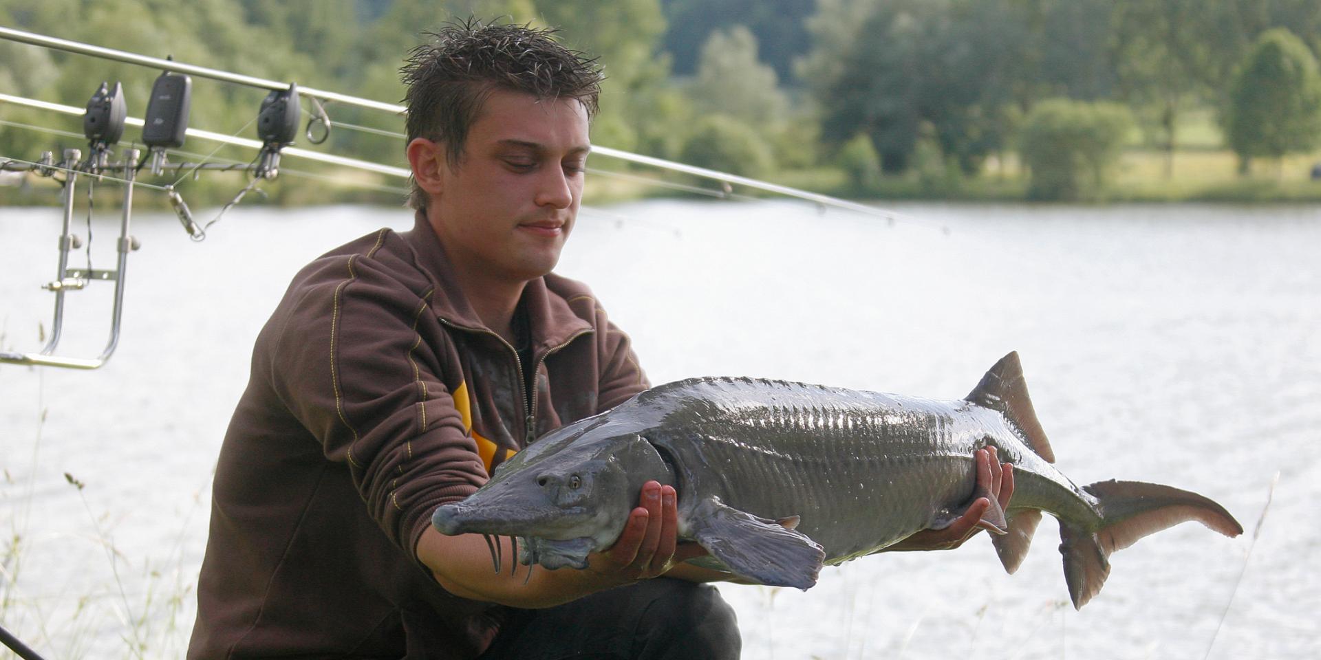 Angling on the pond