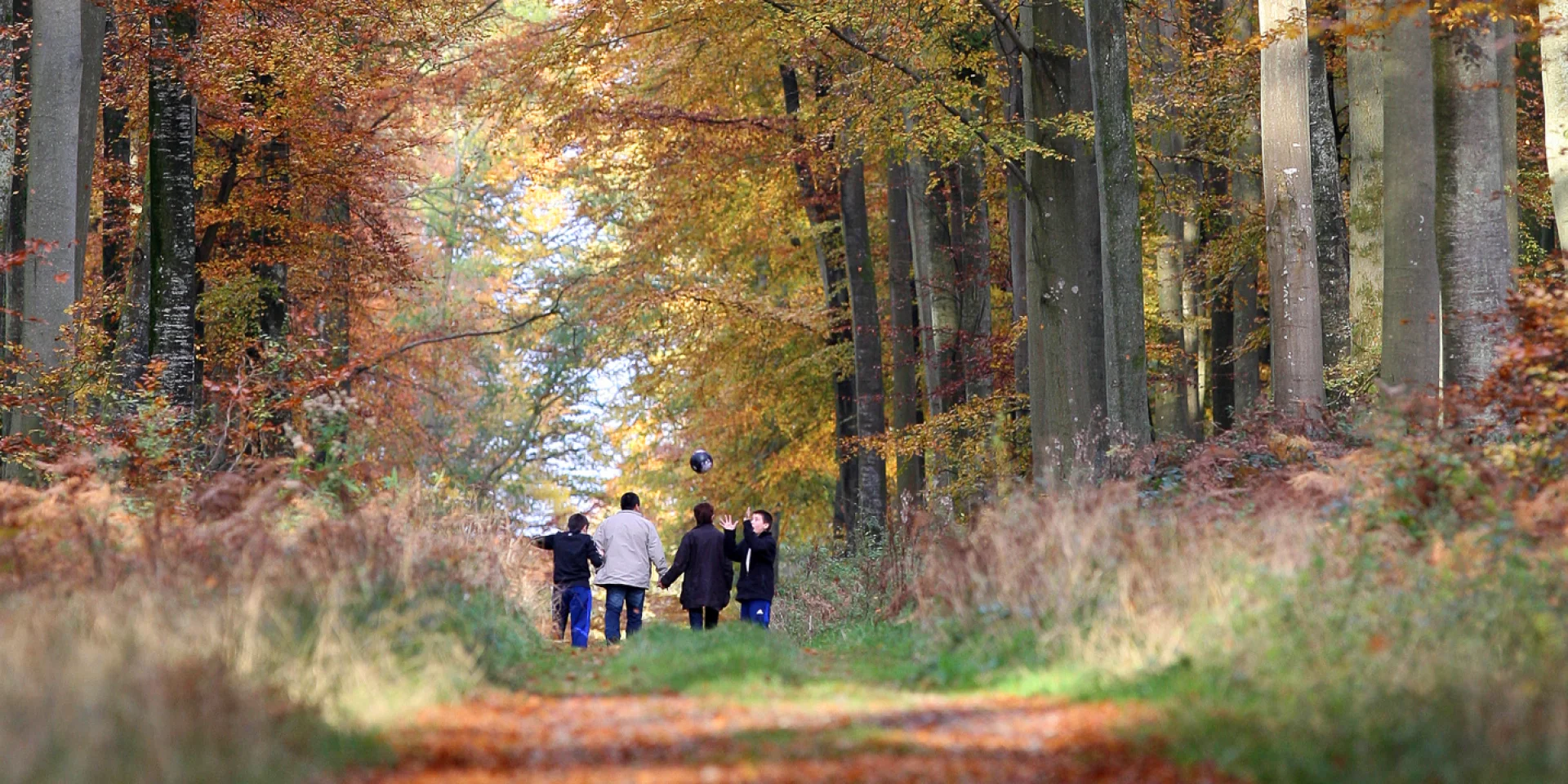 Hiking in the forest