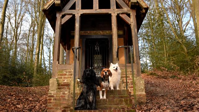 Stroll to discover the heritage