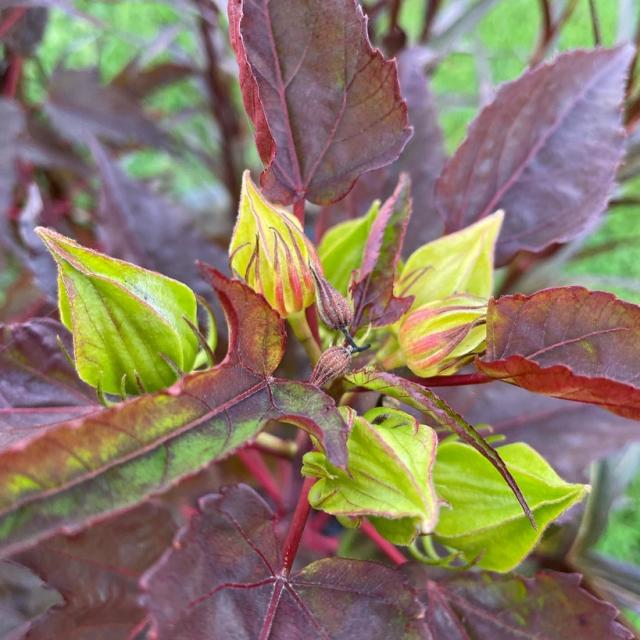 Instagram #terroirdecaux