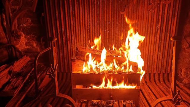 Kamin Auberge du Cygne