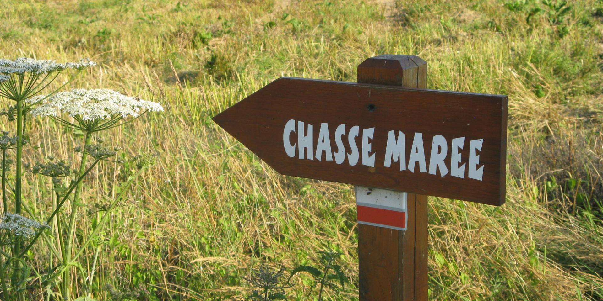 Hiking trail GR210