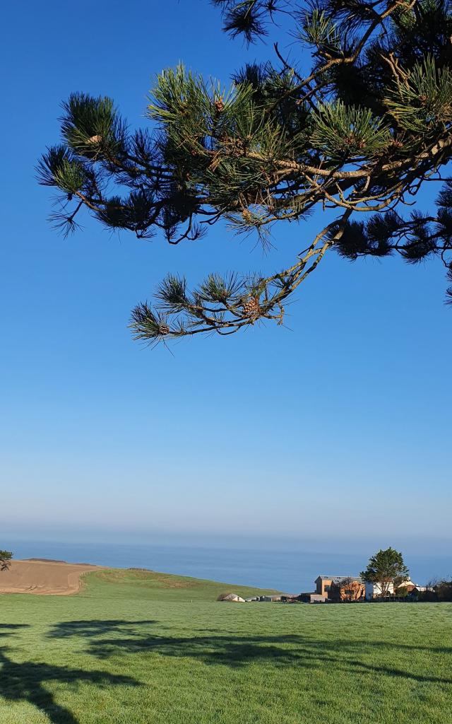 Hiking trail with sea view