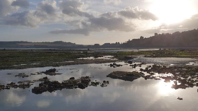 Pêche à Pied à Quiberville