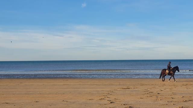 balade à cheval sur la plage