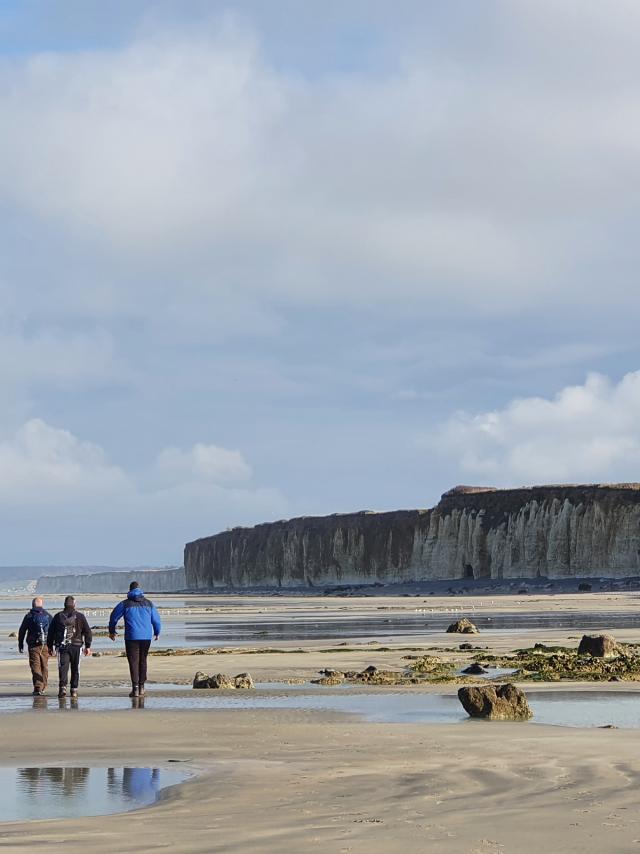 Walking on the beach