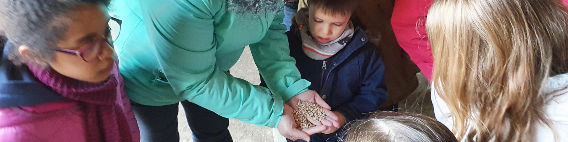 Visit to the Petit Fumechon Farm, Saint-Vaast-du-Val