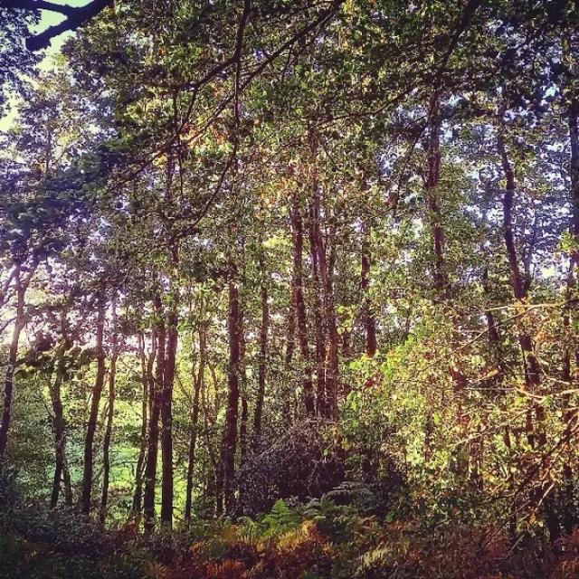 Instagram #terroirdecaux