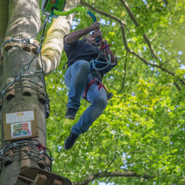 Parcours dans les arbres