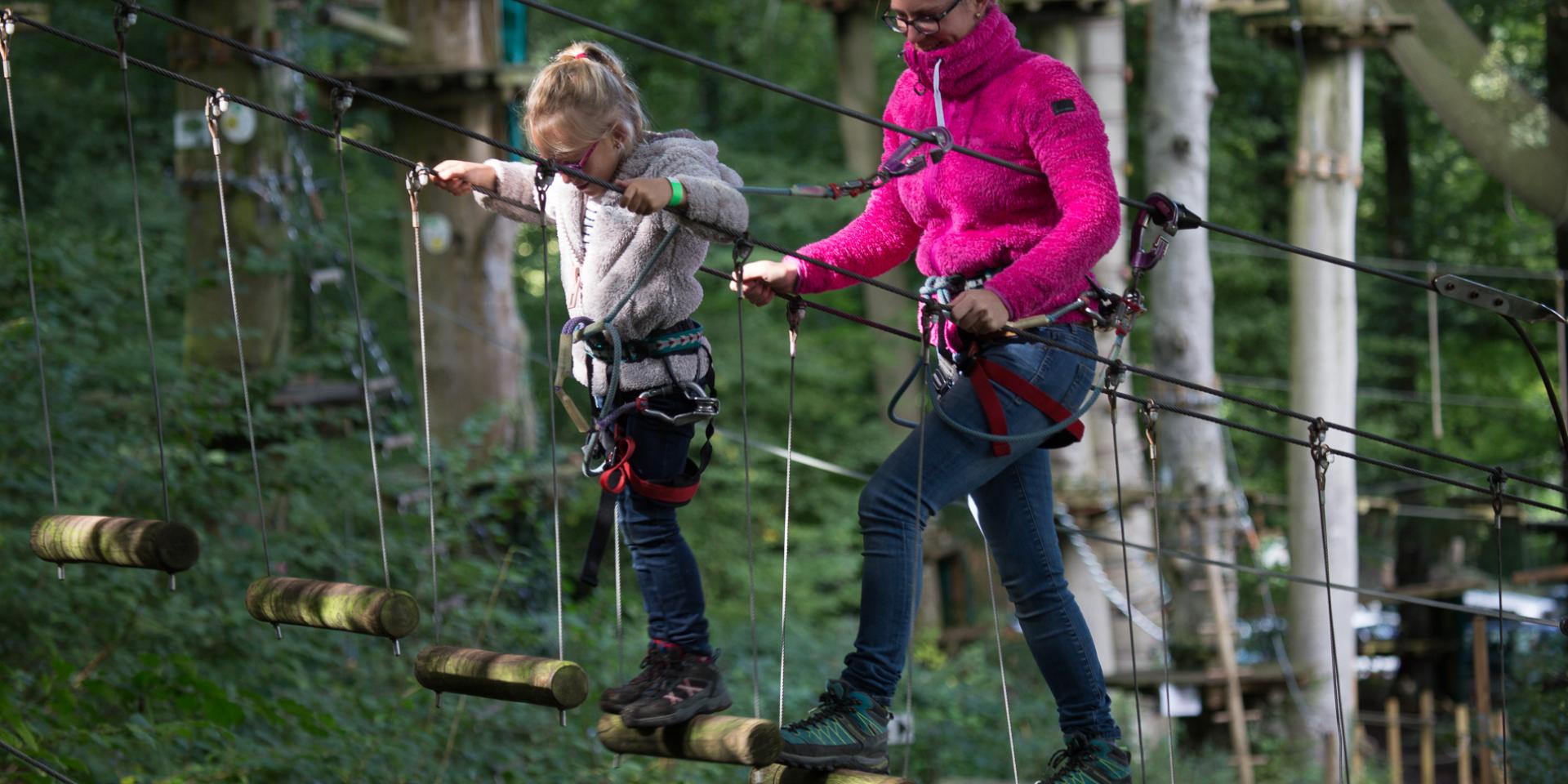 Parcours dans les arbres