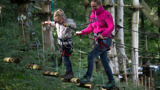 Parcours dans les arbres