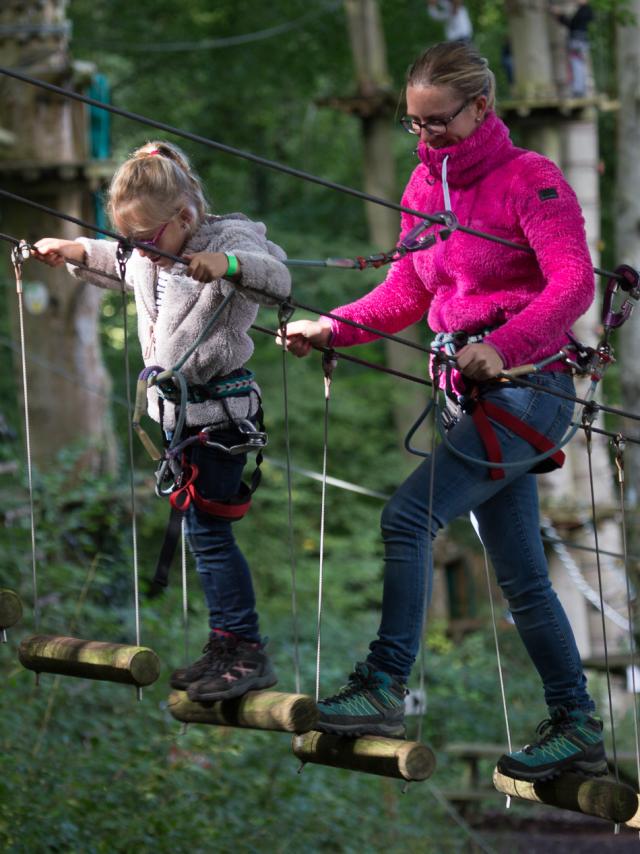 Parcours dans les arbres